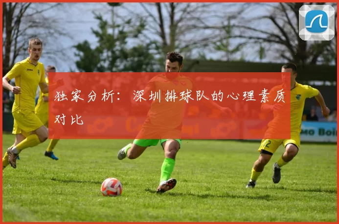 独家分析：深圳排球队的心理素质对比