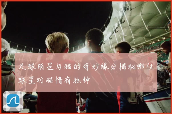 足球明星与猫的奇妙缘分揭秘哪位球星对猫情有独钟