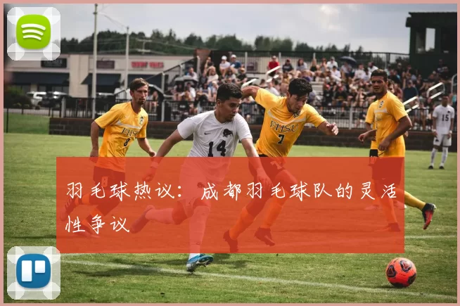 羽毛球热议：成都羽毛球队的灵活性争议